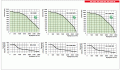 25005